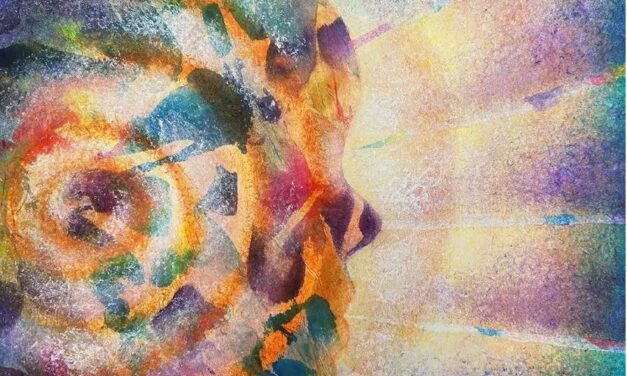 Soft Machine: Thirteen