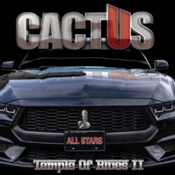 Cactus Temple 2