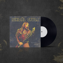 vikidal_mockup_2