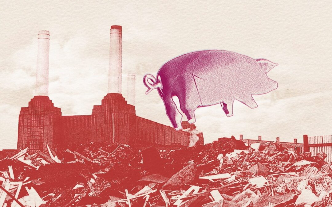 Pink Floyd – Pigs on the Wing (8-Track Version – Official Audio)