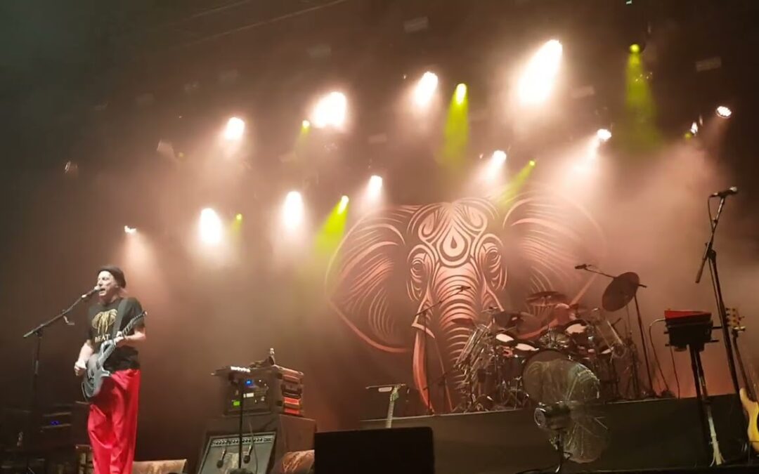 Beat: Elephant Talk (Budapest 2026. 07. 15.) – King Crimson cover