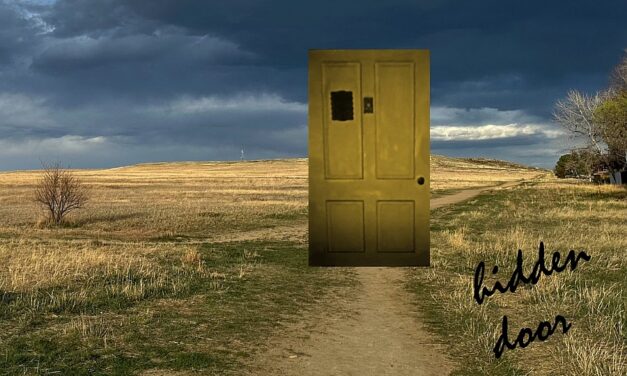 Broken Springs: Hidden Door